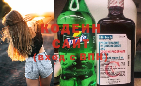 шишки Верея