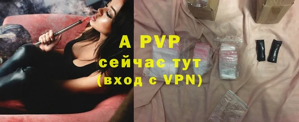 шишки Верея