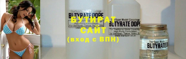 шишки Верея