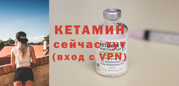 шишки Верея