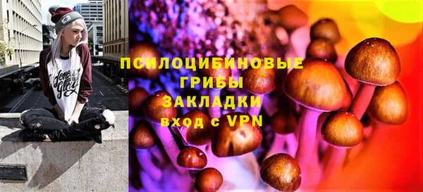 шишки Верея