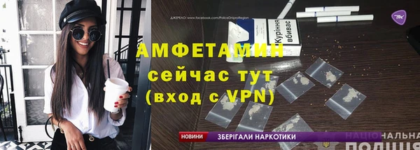 шишки Верея